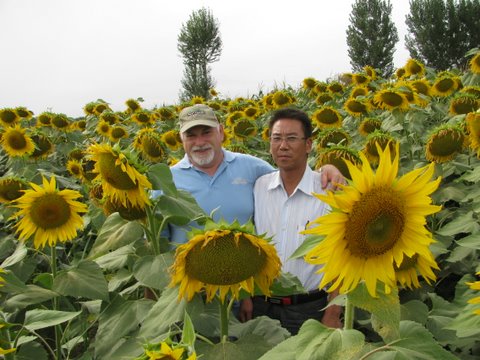T301Q大颗粒Qa? width=